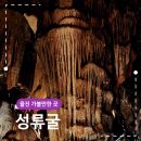 북동054 | 울진 실내 가볼만한 곳 성류굴 자연의 신비