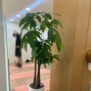 싸다휘트니스 | [안산상록수역헬스장] 라반휘트니스 본점, 1:1 PT 전문 본오동 솔직 후기