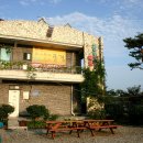 소나무가 있는 풍경 이미지