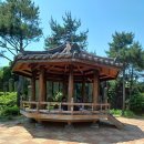 자연생태공원 수목원 야외2 | 부천자연생태공원 무릉도원수목원 부천식물원 관람기 – 가족과 함께, 자연과 전통을 품은 하루 나들이