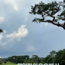 한양파인컨트리클럽 골프연습장 | 한양파인CC : 서울에서 당장 골프치러 가고 싶은 골린이 주목!