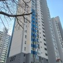 좌산초교 네이버블로그