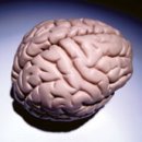 국보한의원 이미지