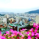 (사)한밤마을문화관광마케팅연구소 | [소셜투어/후기] 다양한세대,분야의 사람과 함께 한 부산,대구 소셜투어