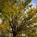 진천역계룡리슈빌 이미지