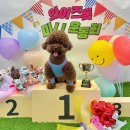 와이즈독 아카데미 이미지