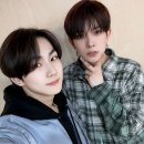 고양이정원 이미지