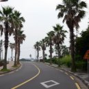 싱싱반찬 이미지