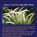 118:5 Daum카페