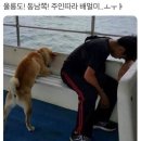 예지슈퍼 이미지