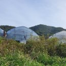 보문회관 이미지