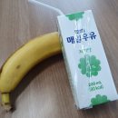 gm 다이어트 하는 법 준비물 후기