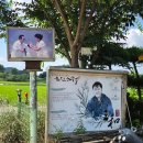 (주)삼화정보통신 | 한산소곡주 파는곳 서천 삼화양조장 생주 화주 뜻과 맛, 도수 차이