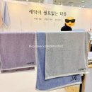 C ART MUSEUM | 2026 서울리빙디자인페어 코엑스 내돈내산 투어 후기 - C홀 취향이 담긴 생활 (최종편)