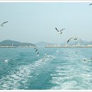 안흥유람선 이미지