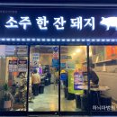 소주한잔돼지 이미지