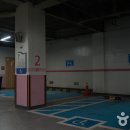 아트홀 봄 Daum카페