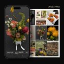 그린피드 | [피드디자인] 플로럴 큐레이션 브랜드 월간오래화, 인스타그램 피드디자인