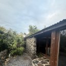 클랭블루수동 | 제주도 클랭블루 수동 후기 / 모커리 후기 / 제주 독채 숙소, 한경면 숙소