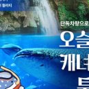 하노투어