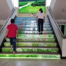 창녕군청 이미지