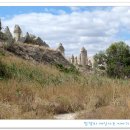 화이트 밸리 이미지