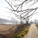 읍내리 마을회관 이미지