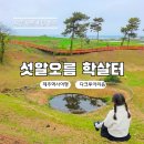 다크투어리즘코스 | 제주 서쪽 여행 섯알오름 학살터 아이와 함께 가볼만한곳 다크투어리즘 코스
