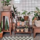 [공지] [일상일기] 5/13~5/18 일상 : 우리집 리틀 포레스트🌿🥀