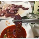 삼양수산 Daum카페