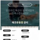 애견운동장 창업, 강아지운동장 창업! 기본적인 공부부터