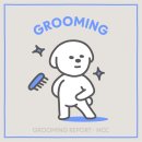 즐거운애견미용실 이미지