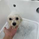 싹독싹독 이미지