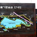 양덕저수지 둘레길 이미지