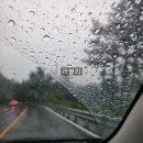 미조세탁소 | [남해] 쏠비치 남해 - open기념 여행
