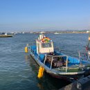 무지개약국 | 🎣안면도 무지개좌대 쭈꾸미 좌대낚시 후기(멀미 심한 사람도 가넝)