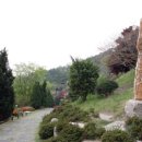 숲쟁이꽃동산 네이버블로그