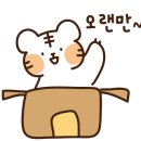 이태원왕김밥