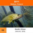 덴버로드 | 미국 콜로라도 가을 단풍 여행, 8박 10일 일정 및 경비 (1~3일차)