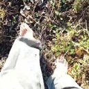 중광농장 이미지