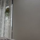 몽마노