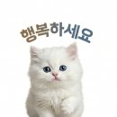 고객예약센터 | 갤럭시 S26 사전예약 상품권 미지급 후기 (지급일 및 고객센터 문의 정리)