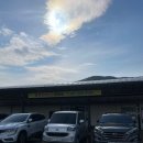 두구동 입구 버스정류소 앞 | 부산 두구동 화훼단지 제라늄부터 꽃나무까지 다양해요