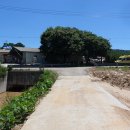 금암농장 이미지