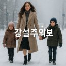 재난영상정보(CCTV) | ❄️ “눈이 아니라 재난이다” 예쁜 쓰레기 강설 주의보