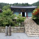 도림사 이미지