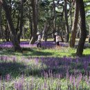 황성공원 이미지