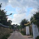 슬로시티삼지내마을 | 담양 가볼만한곳한옥 카페 매화나무집 오란다맛집 창평 삼지내마을 슬로시티