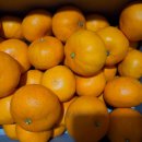 경종농장 이미지