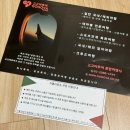 고고야투어
